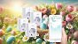 TP Link Tapo P110 smarte Steckdose im Tiefstpreis-Deal.