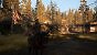 The Last of US Part II - Detailvergleich 2 - 00 - Maximale Details