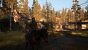 The Last of US Part II - Detailvergleich 2 - 02 - Hoch