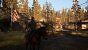 The Last of US Part II - Detailvergleich 2 - 03 - Mittel