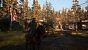 The Last of US Part II - Detailvergleich 2 - 04 - Niedrig
