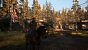 The Last of US Part II - Detailvergleich 2 - 05 - Sehr Niedrig