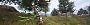 <strong>The Elder Scrolls IV : Oblivion Remastered</strong> / 7680x2160 / Extrem / RT On / Pt. 4<br>&nbsp; (10)