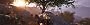 <strong>The Elder Scrolls IV : Oblivion Remastered</strong> / 7680x2160 / Extrem / RT On / Pt. 4<br>&nbsp; (23)