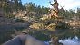 Russian Fishing 4 (1)