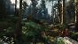 The Witcher 4 Unreal Engine 5 Tech-Demo/Unreal Fest Präsentation (11)