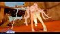 Khaos-Thanathan: "<i><strong>Stellar Blade.&nbsp;</strong></i><br><br>Nach den drei weiteren Durchgängen auf dem PC (rund 100 Stunden Spielzeit - mit der PS5-Version sind's dann zusammen insgesamt 400 Stunden) zum Sammeln aller Cosmetics ist nun tatsächlich die Luft raus und mein Wunsch, dass Sony PSN auf dem PC durch Cross-Platform-Saves attraktiver macht, noch größer. Glücklicherweise macht das Gameplay Spaß und einige der Setpieces, die man im späteren Spielverlauf erlebt (bspw. das "Surfen" in der Hypertube), fühlen sich belohnend genug für mehrere Durchgänge an. Dazu kommen natürlich noch die wundervollen Outfits, die man sammeln kann." (4)