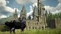 Hogwarts Legacy lässt sich mit diversen Mods nach eigenem Belieben umbauen.