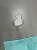 Der Wasserlachen-Test