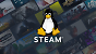 Steam Linux