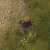 Titan Quest 2 Low Res Upsampling: Bewegung