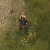 Titan Quest 2 Low Res Upsampling: keine Bewegung