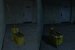 Bloodlines: Original versus RTX Remix Mod (1) (5)