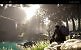 Crimson Desert: Singleplayer-RPG der Black-Desert-Macher hat einen (neuen) Release-Termin