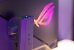 Natürlich darf eine vielfarbige RGB-Beleuchtung bei einem Asus-Monitor mit Gaming-Fokus nicht fehlen. Das grimmige, leuchtende Eulenauge kann aber natürlich auch deaktiviert werden.