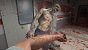 Dying Light: The Beast (5)