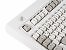 IBM Model M (3)