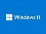 Windows 11