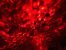 Der große Govee-Test: neu mit Tischlampe 2 Pro und Sternenlicht-Projektor Nebula (7)