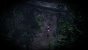 Silent Hill f
