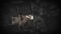 Darkwood 2 (1)
