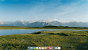 elementary OS 8.1