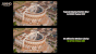 Anno 117 mit und ohne G-Sync Pulsar: Nvidia bewirbt die Bildklarheit mit "effektiv 4x". Dies leitet sich aus der im Vergleich um 25 Prozent reduzierten Dauer des Backlight Strobings her. Eine etwas "lose" Metrik, und natürlich ist dabei die Framerate von hoher Bedeutung (an welche per VRR die Refreshrate des Monitors angepasst wird). Der Effekt des verringerten Display Motion Blurs ist auch in der Praxis respektive unserem Test deutlich sichtbar. "Um 4x erhöhte effektive Bewegungsklarheit" ist obendrein einfach nachzuvollziehen und werbewirksam.