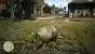 Red Dead Redemption 2 HD Texture Pack 258