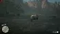 Red Dead Redemption 2 HD Texture Pack 260