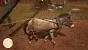 Red Dead Redemption 2 HD Texture Pack 263