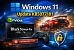 Windows 11: KB5077181 korrigiert Black-Screen-Probleme bei Nvidia-GPUs und Gaming-Artefakte