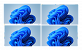 Taskbar