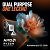AMD Ryzen 9 9950X3D2