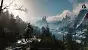 The Witcher 4