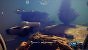 <strong>Subnautica 2 im PCGH-Hands-on: </strong>Grafik-Preset: Mittel (Außen)