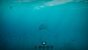 <strong>Stranded Deep trifft Green Hell: </strong>Neues Survival-Spiel Away From Life startet auf Steam (20)