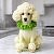 binär-11110110111: "Hund mit Blumenkohl-Texturen"