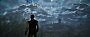 Gothic Remake - Detailvergleich: Gothic