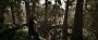 Gothic Remake - Detailvergleich: Hoch