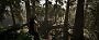 Gothic Remake - Detailvergleich: Mittel