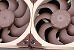 Noctua NL-LC1 (1) (9)