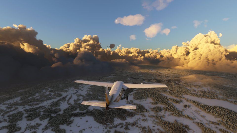 MS Flight Sim 2020