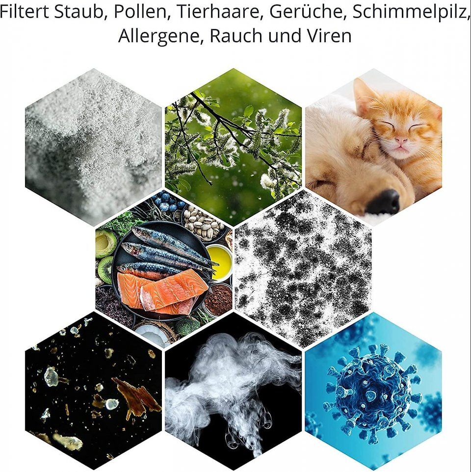 Je nach Art der Filter werden unterschiedliche Schad- und Geruchsstoffe aus der Luft entfernt.