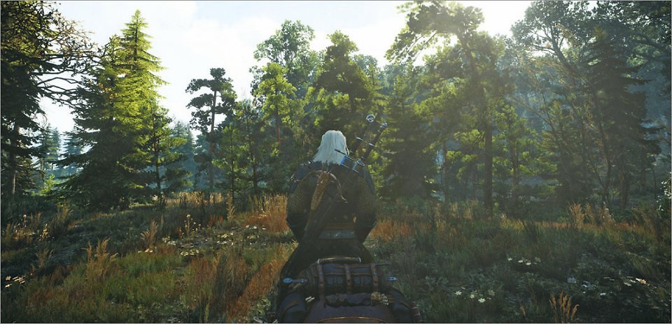 The Witcher 3