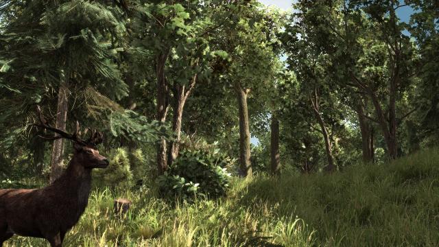 ArcaniA_-_Gothic_4_0019.jpg