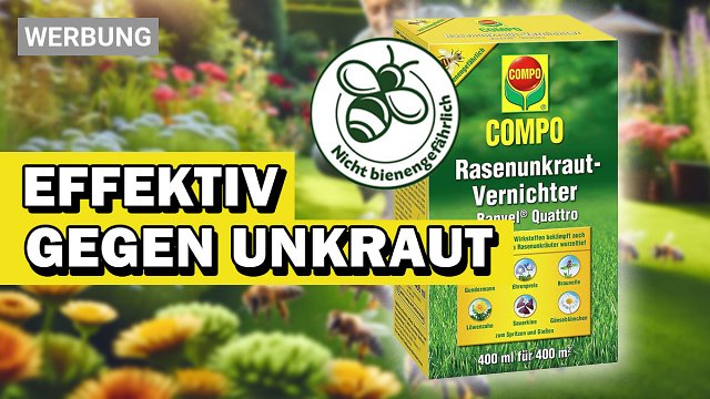 Mhelos Garten-Unkraut entfernen: Bestseller Unkrautvernichter ber  10.000-mal verkauft bei Amazon jetzt mit 29 % Rabatt