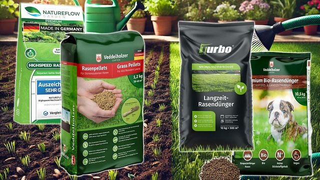 Zeitig vor Saisonstart sichern: Rasendnger und Grassamen fliegen schon  jetzt bei Amazon raus