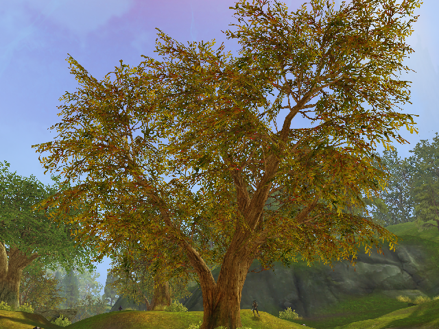 Aion_Vergleich_05.png