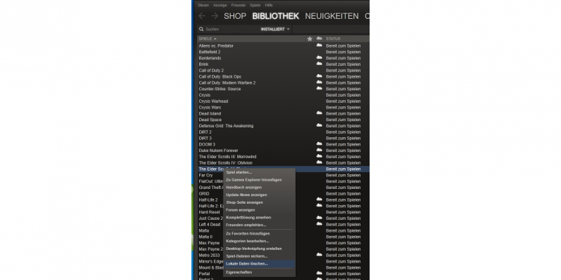 Wenn Steam die Skyrim-DVD verweigert: So müssen Sie das Spiel trotzdem nicht runterladen. (1)