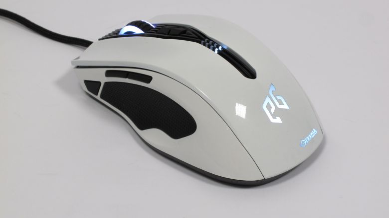 Epic Gear Gekkota - Ein perfekter Spielpartner dank symmetrischer Form und umfangreicher Software? (1)